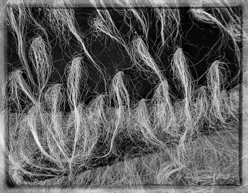 Spirits Rising- Uvalde by artist Charlie Kreitler